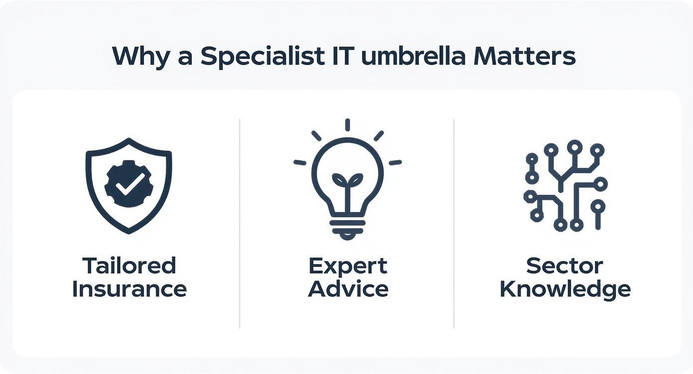 Infographic showing icons for Tailored Insurance, Expert Advice, and Sector Knowledge, representing the key benefits of a specialist IT umbrella company.