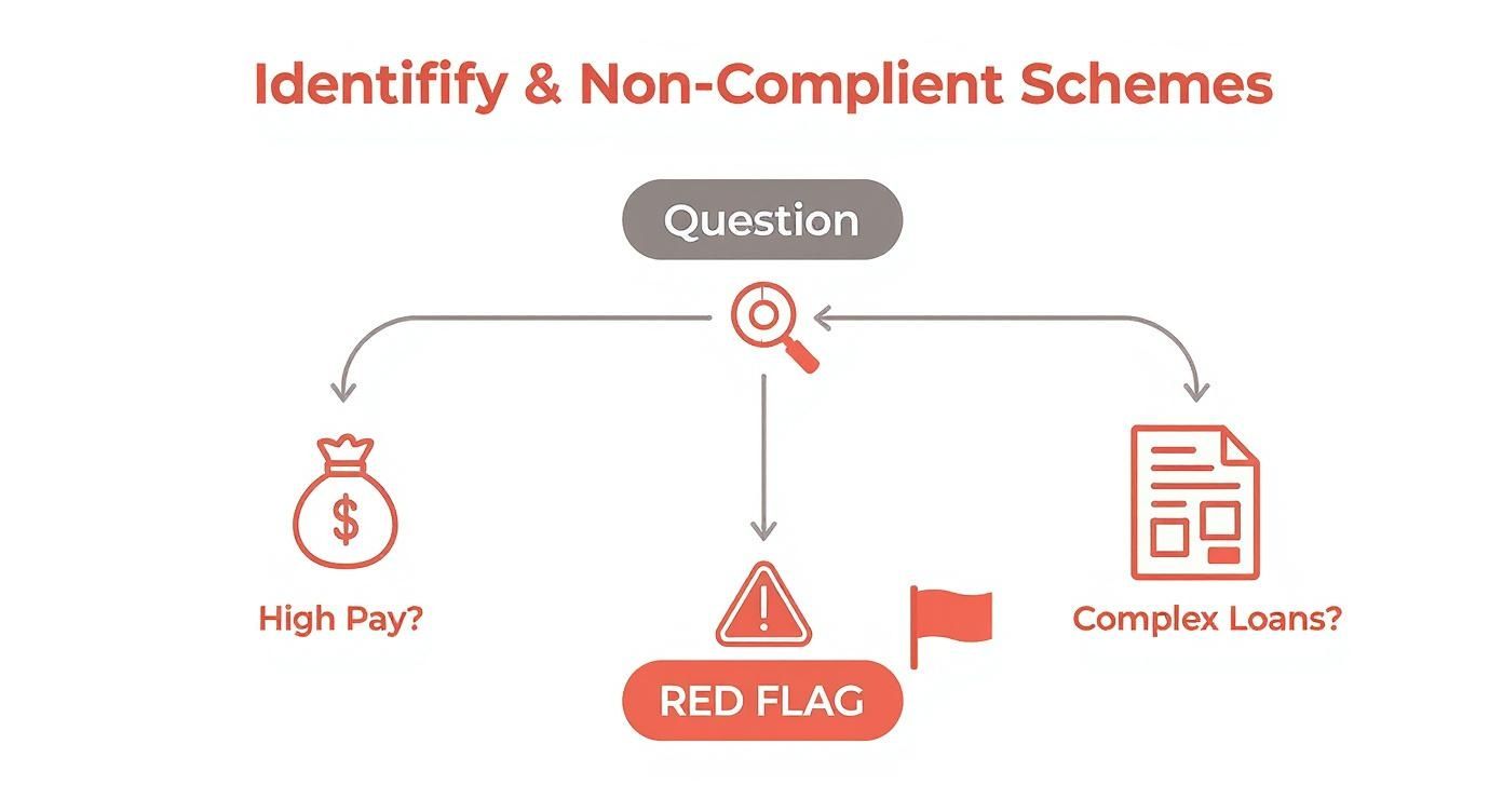 Diagram showing red flags for identifying non-compliant umbrella company schemes including high pay and complex loans