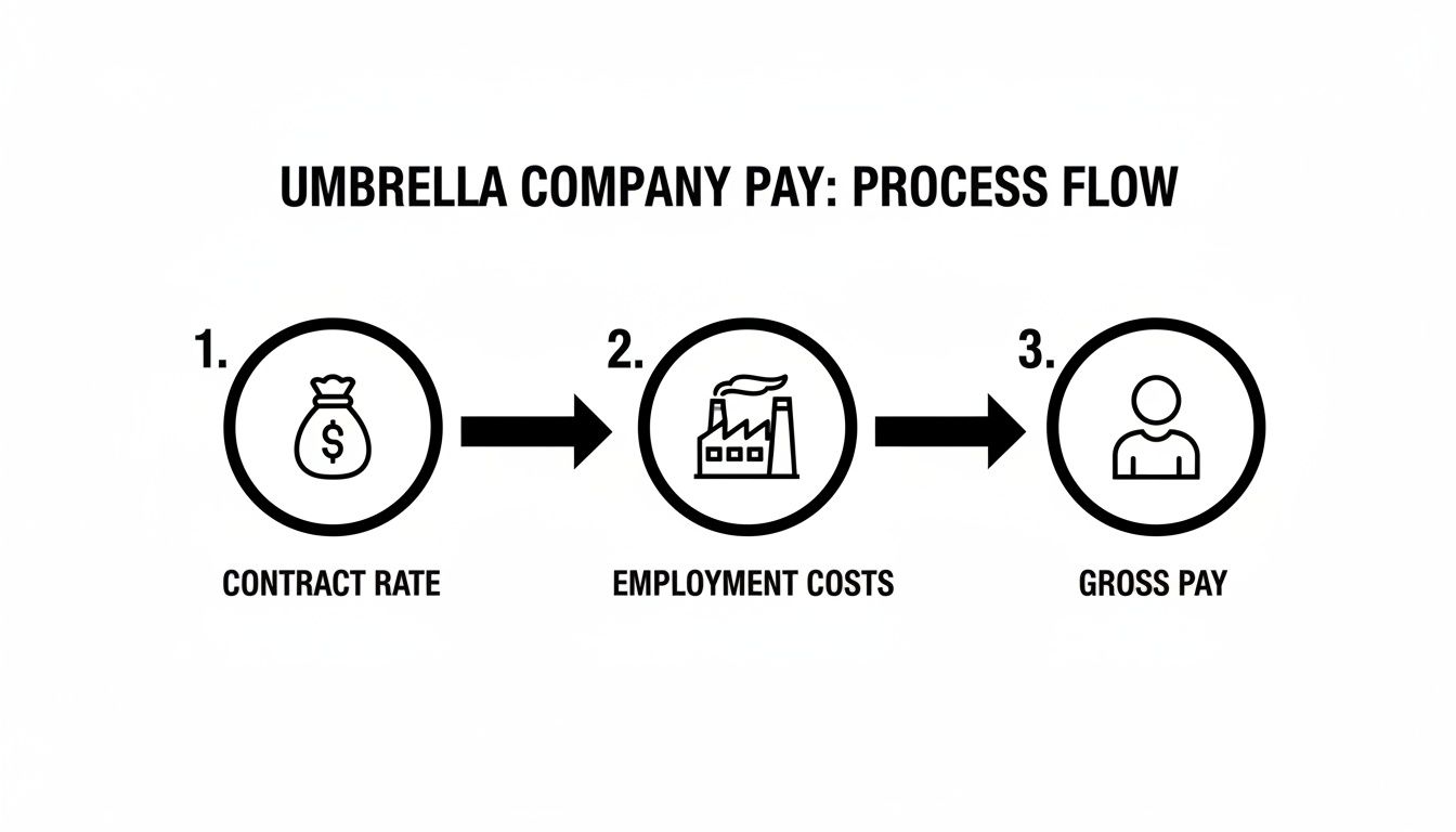 Process flow diagram explaining umbrella company pay from contract rate to gross pay.