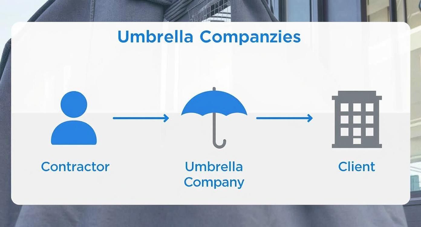Diagram illustrating the flow from a contractor, through an umbrella company, to a client.