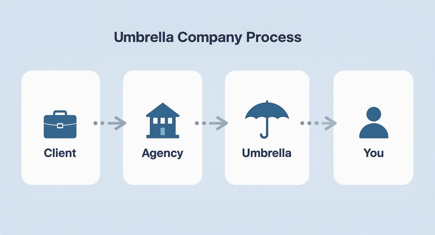 Infographic about umbrella company reviews uk