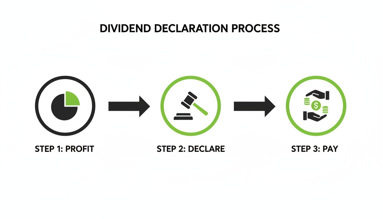 A three-step infographic outlining the dividend declaration process: profit, declare, and pay.