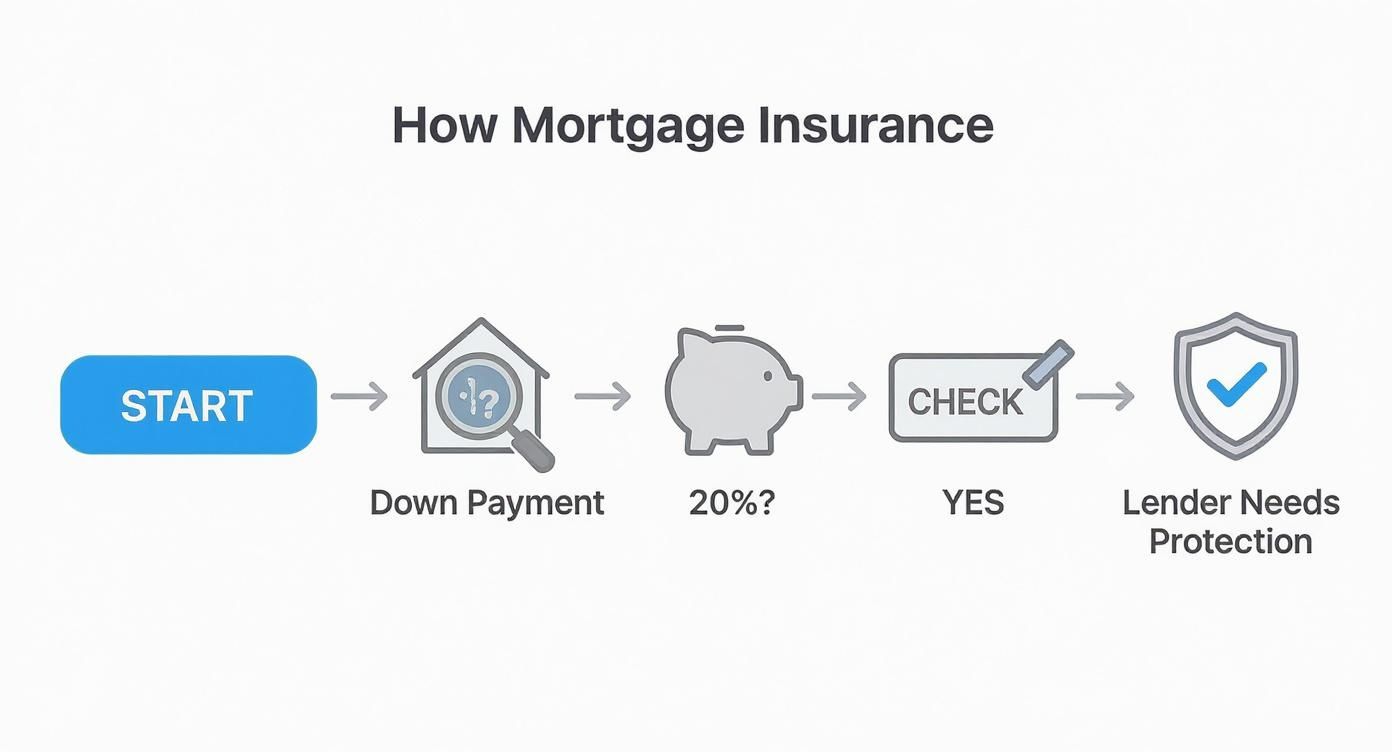 Infographic about what is mortgage insurance