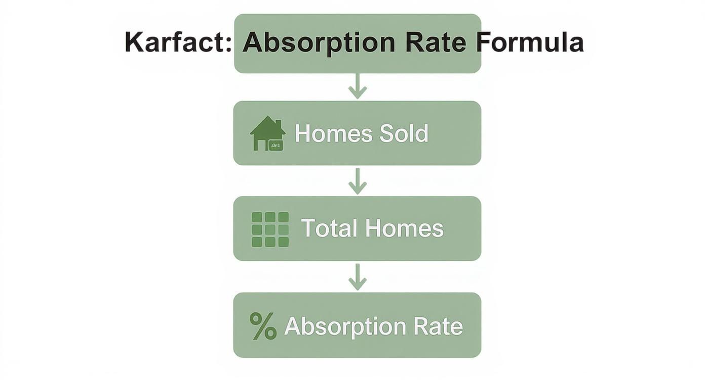 Infographic about what is absorption rate