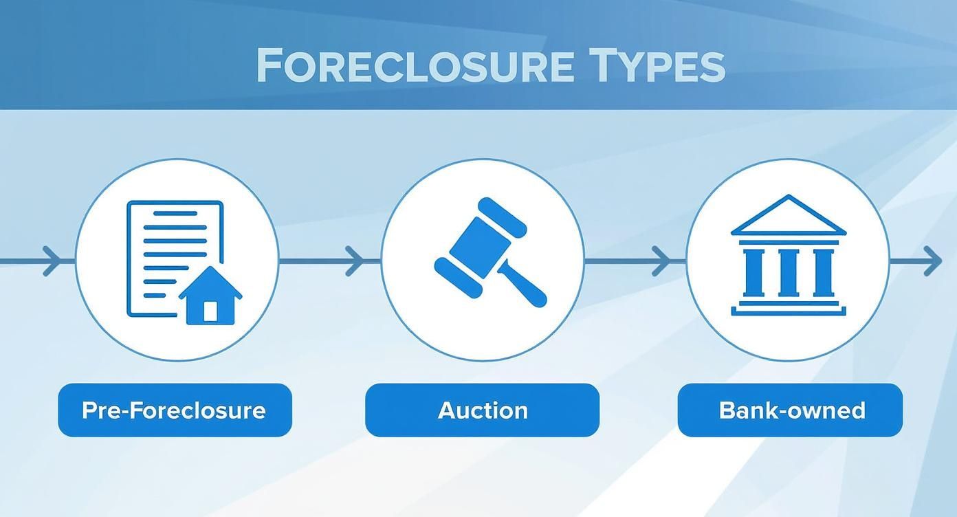 Infographic about foreclosures in dallas