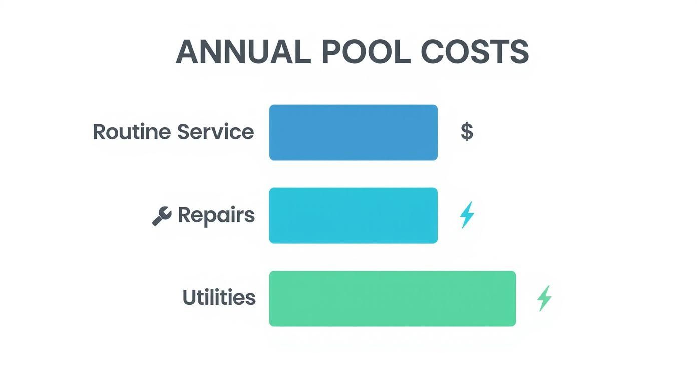 Infographic about average cost of pool maintenance