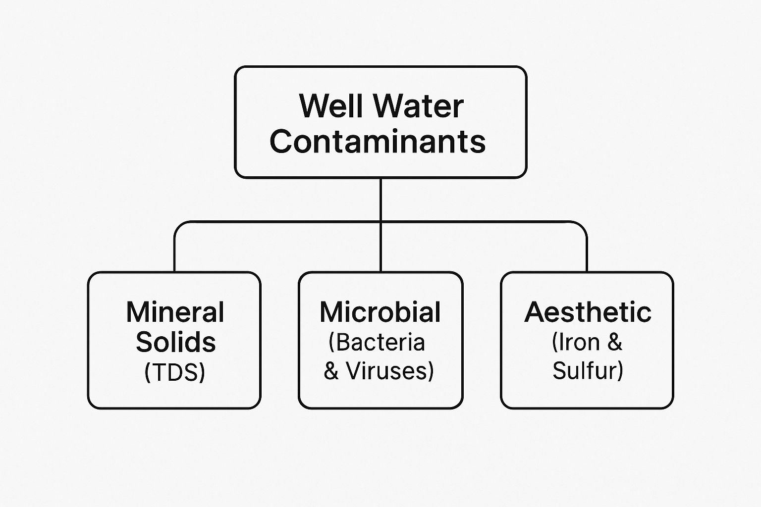 Infographic about best water filtration systems for well water