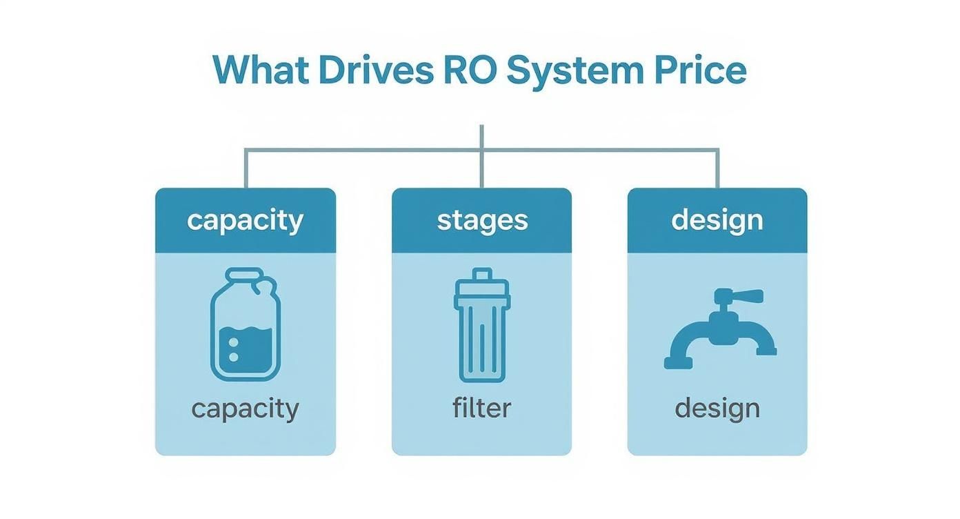 Infographic about reverse osmosis water system cost