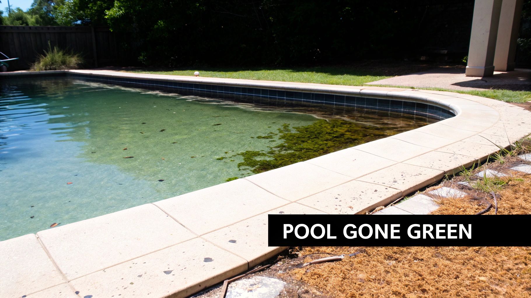 Neglected swimming pool with green algae water and dirty tile edges needing treatment