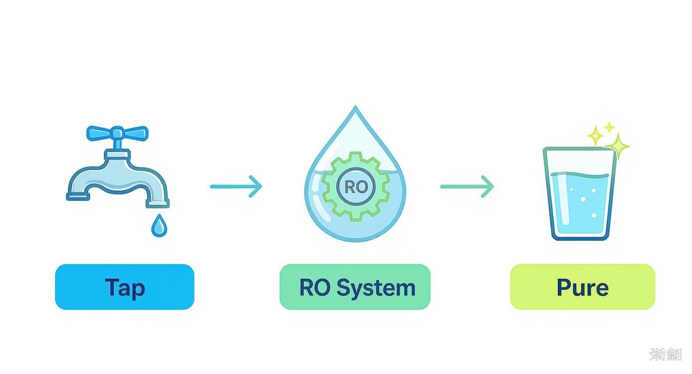 A diagram illustrating tap water being processed through an RO system to become pure drinking water.