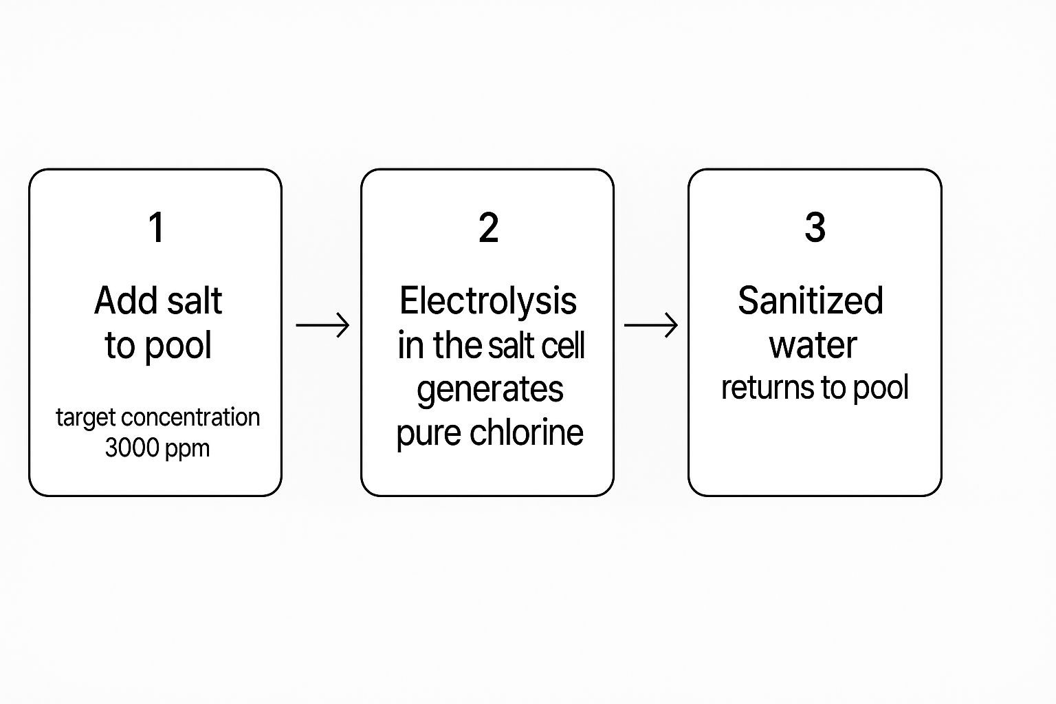 Infographic showing the 3-step process of a saltwater system creating chlorine.