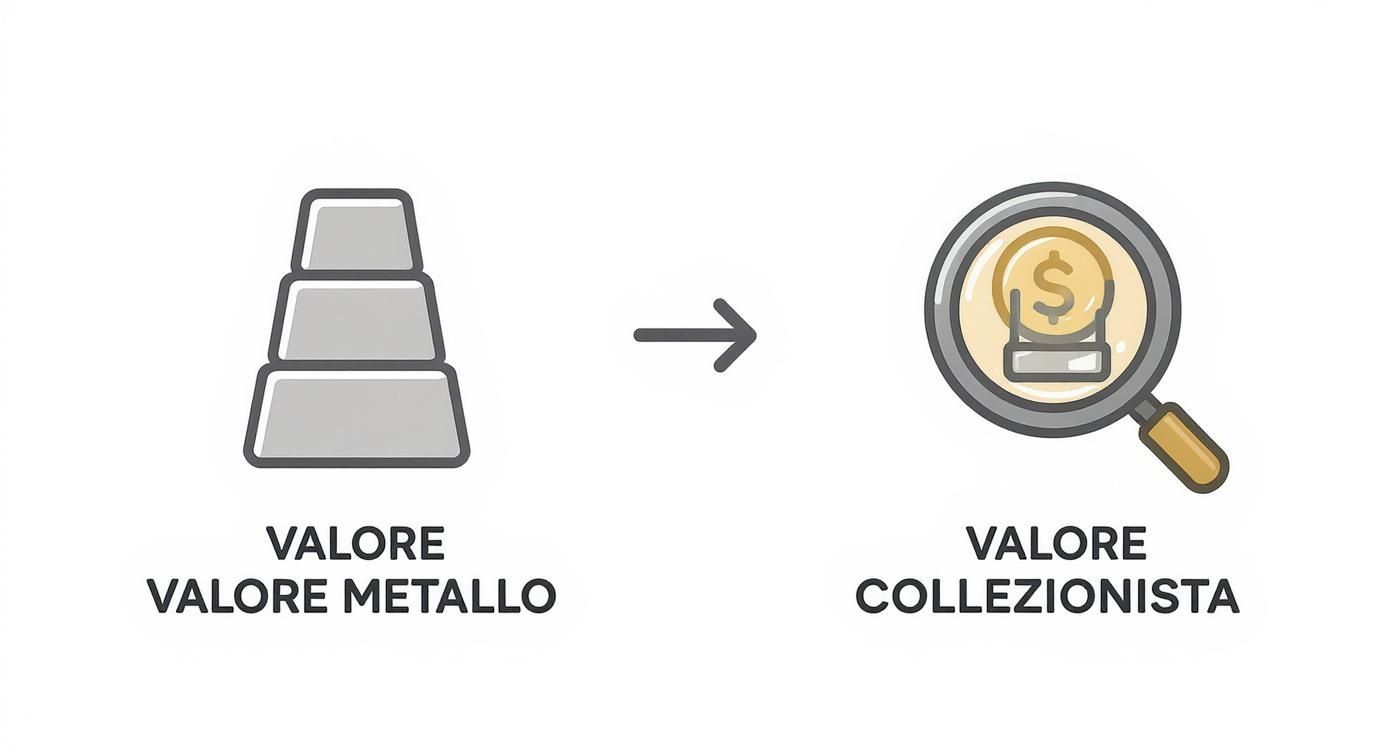 Immagine che illustra la differenza tra valore intrinseco del metallo e valore numismatico per i collezionisti.