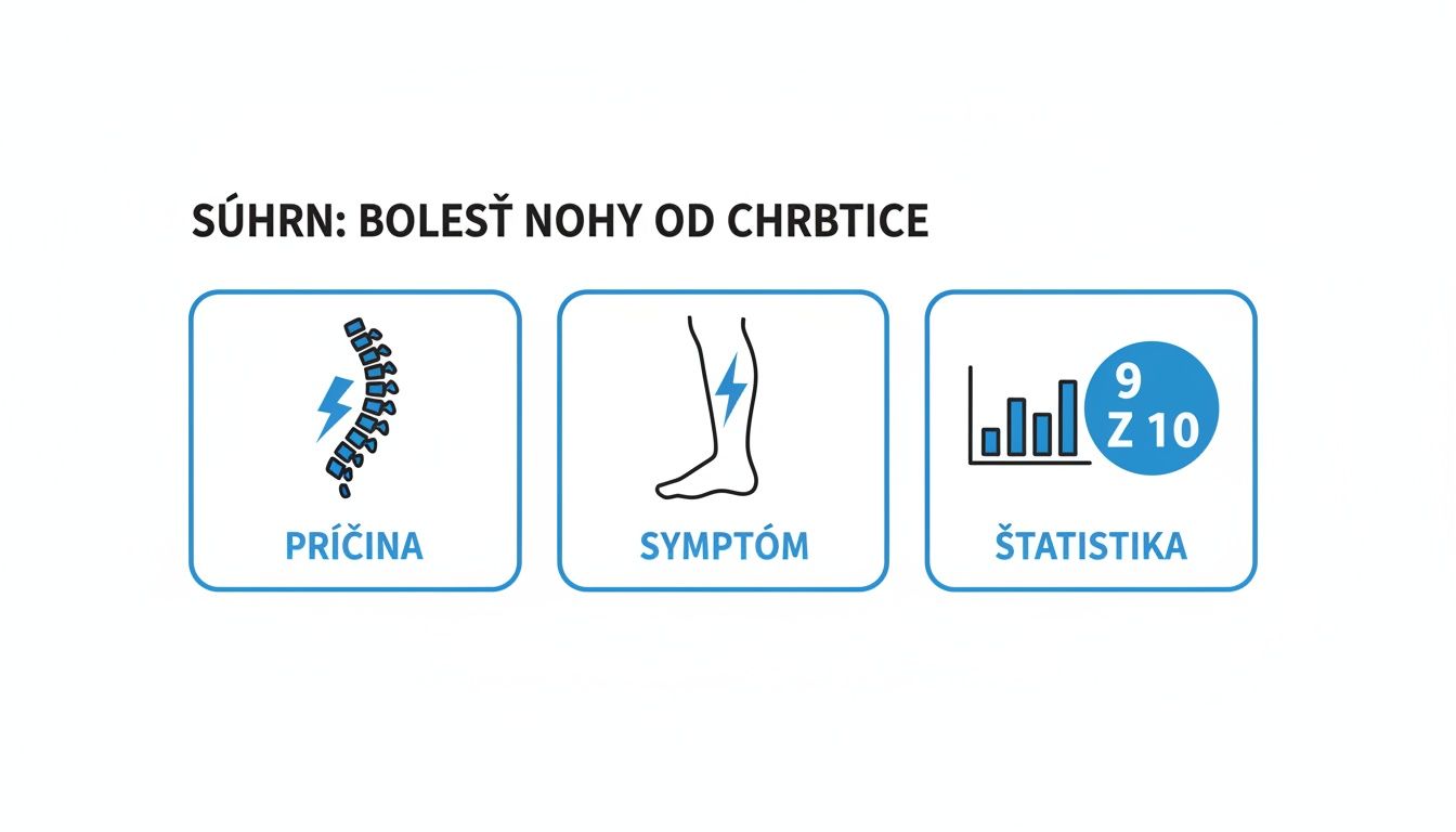 Infografika o bolesti nôh z chrbtice s ikonami príčiny (chrbtica), symptómu (noha) a štatistiky (9 z 10).