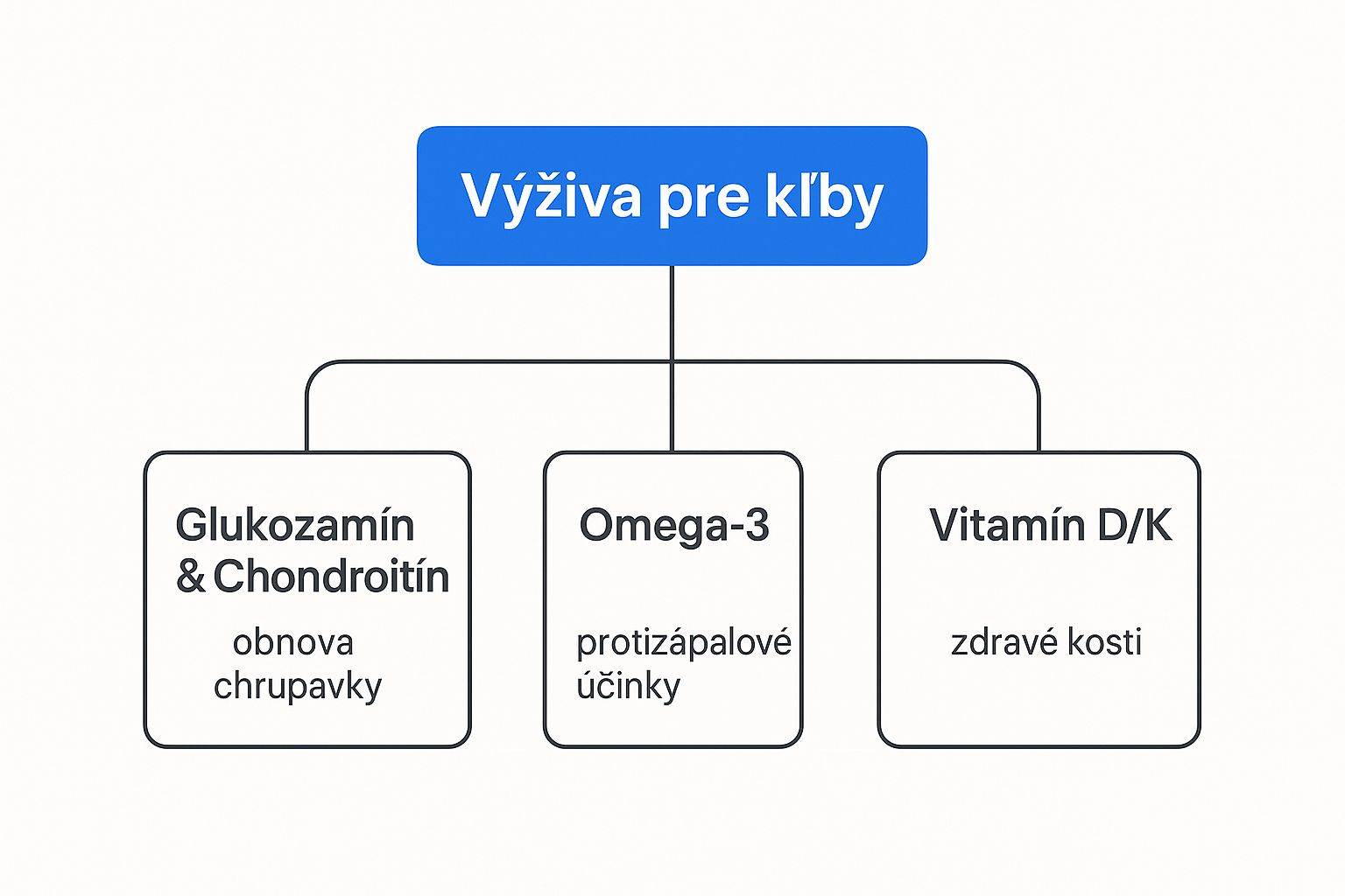 Infographic about výživa pre kĺby