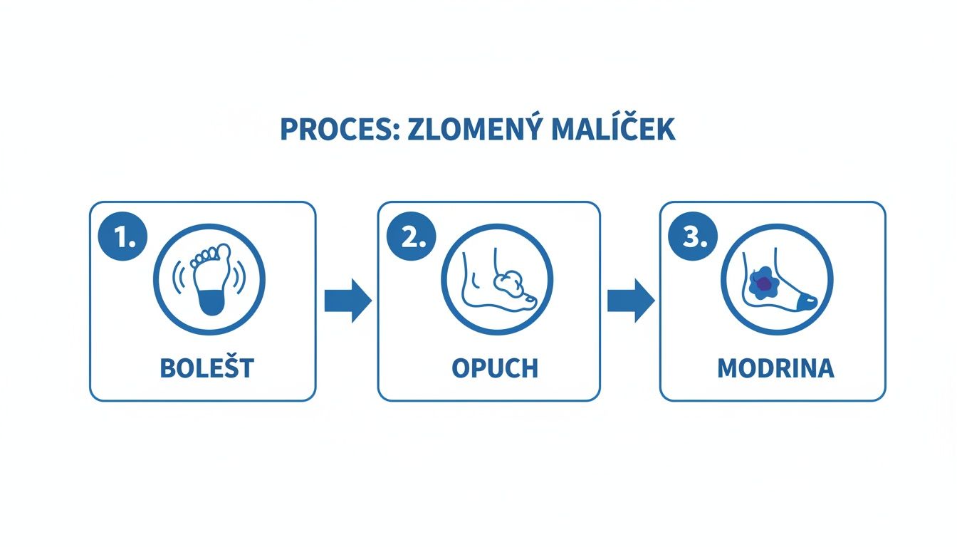 Obrázok zobrazuje tri fázy/príznaky zlomeného malíčka na nohe: bolesť, opuch a modrina.