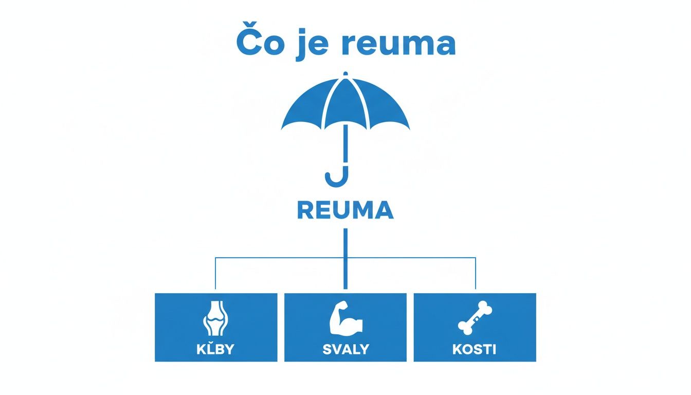 Diagram vysvetľujúci reumu, ktorá postihuje kĺby, svaly a kosti, zobrazenú pod dáždnikom.