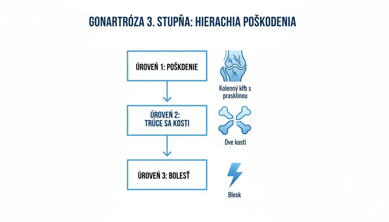 Diagram zobrazujúci hierarchiu poškodenia pri gonartróze 3. stupňa: poškodenie, trenie kostí a bolesť.