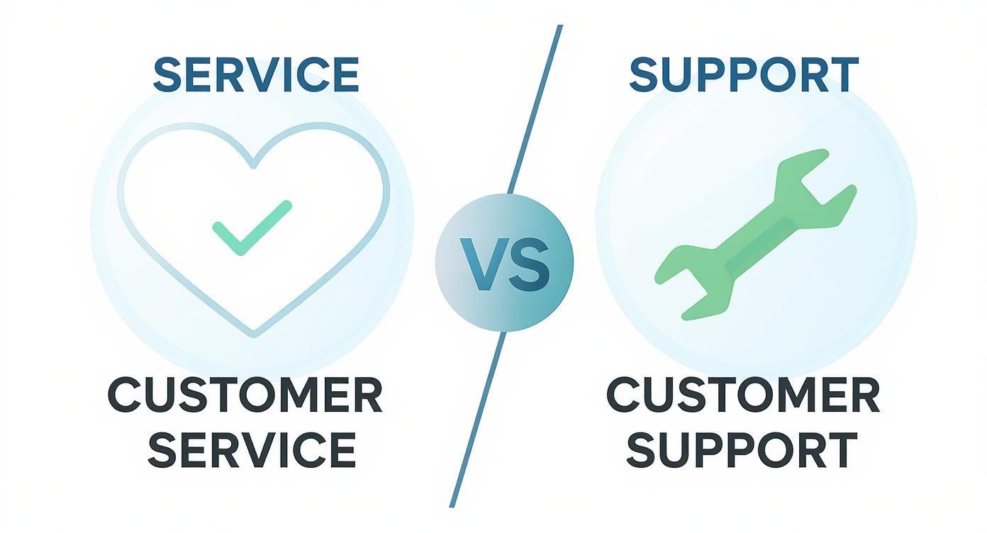 Infographic about customer service vs customer support