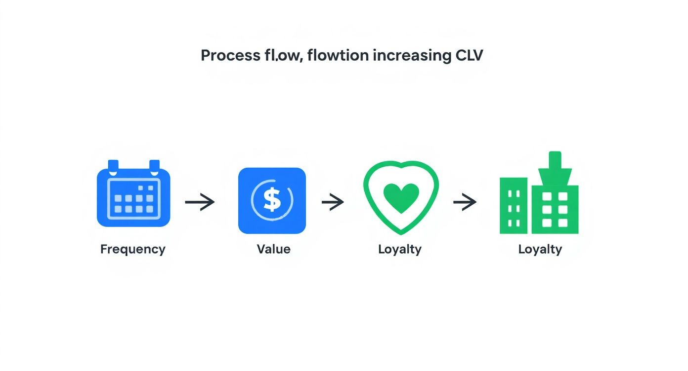 Infographic about increase customer lifetime value