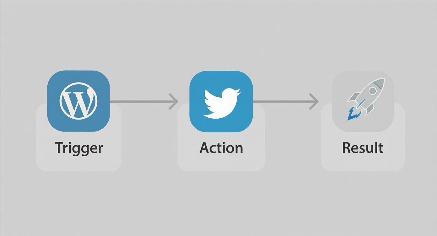 Infographic about how to automate repetitive tasks