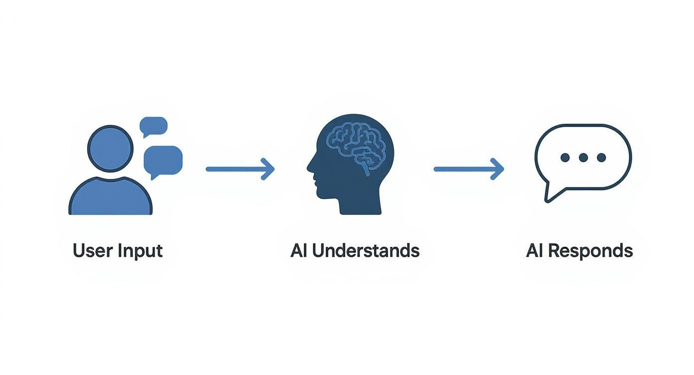 Infographic about what is conversational ai