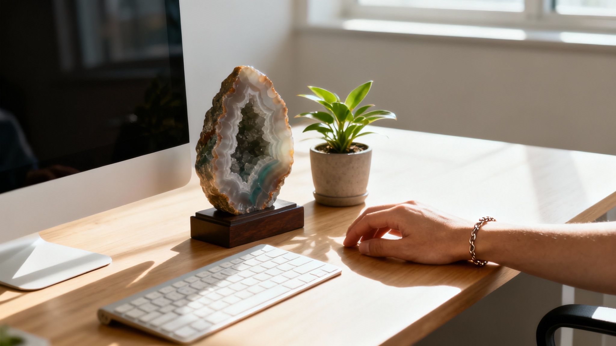 Personne tenant une agate arbre dans sa main