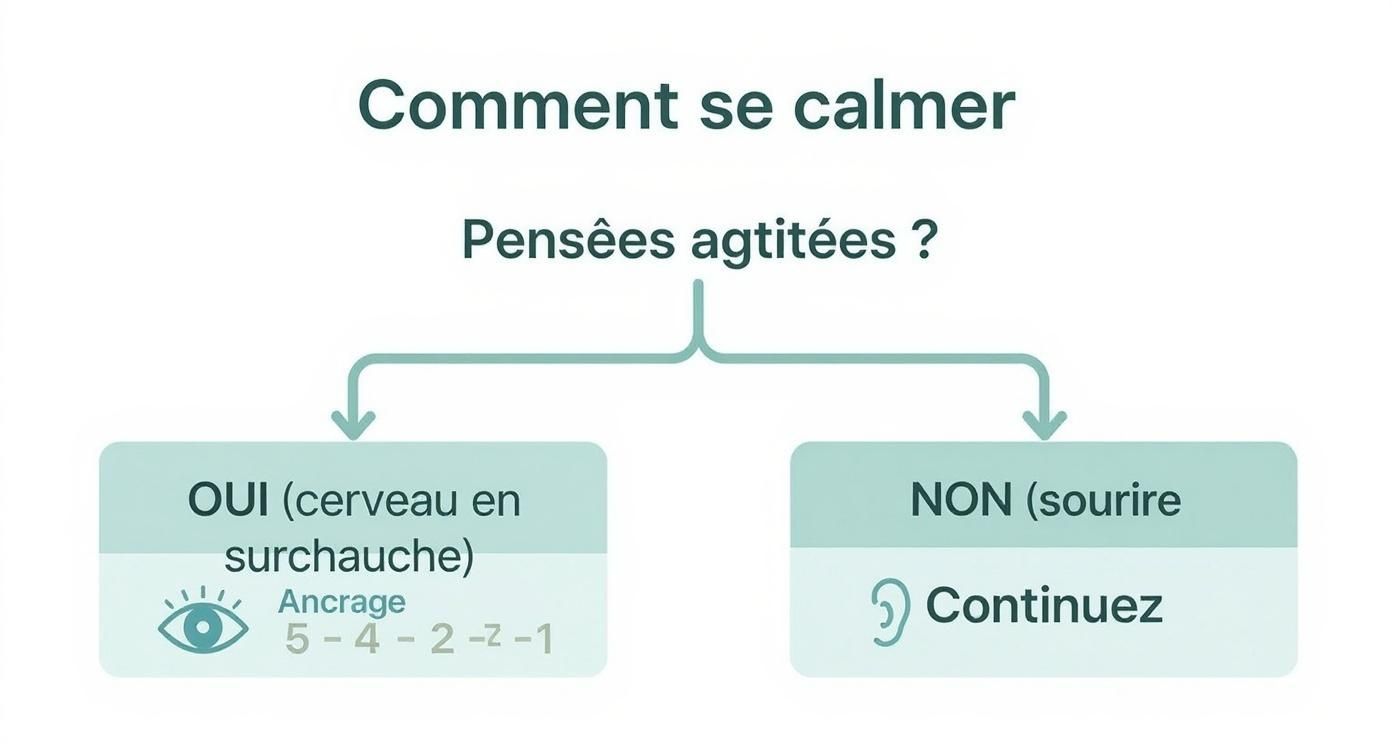 Diagramme montrant une technique de relaxation avec pensées agitées, respiration et ancrage visuel pour se calmer rapidement