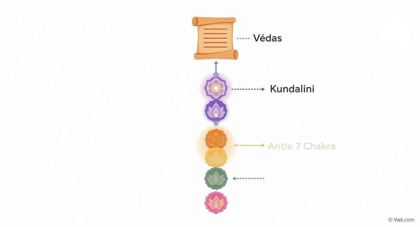 Infographic about pierres des 7 chakras