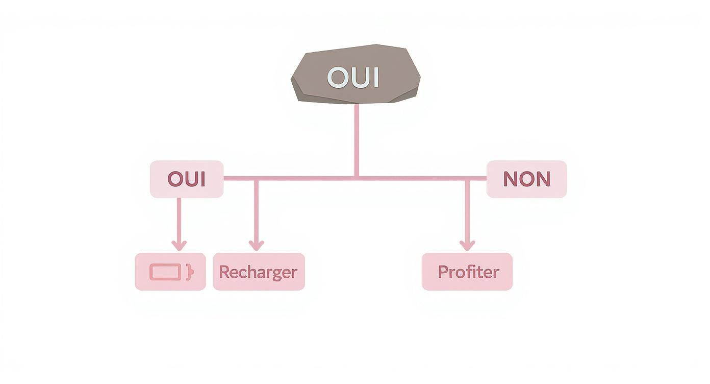 Diagramme de flux simple sur les choix OUI/NON, menant à recharger une batterie ou à profiter.