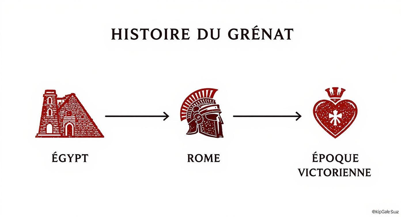 Infographic about pierre grenat signification