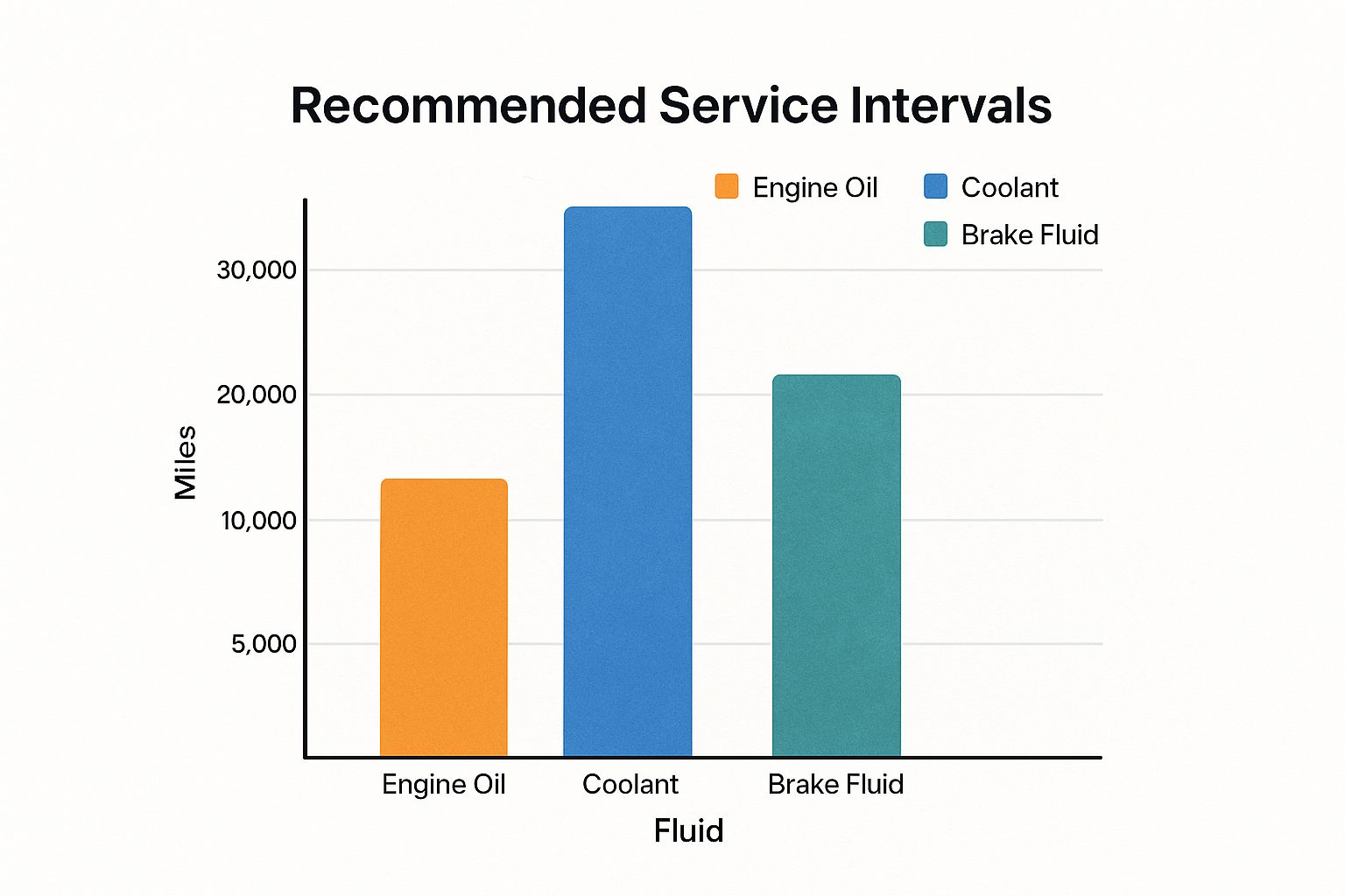 Infographic about car service before road trip