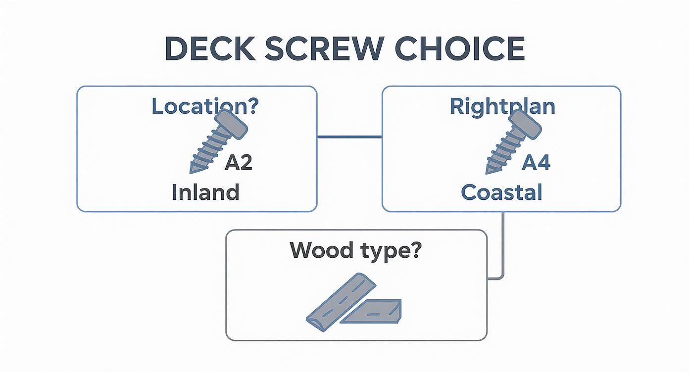 Flowchart illustrating deck screw selection: A2 for inland, A4 for coastal locations, considering wood type.