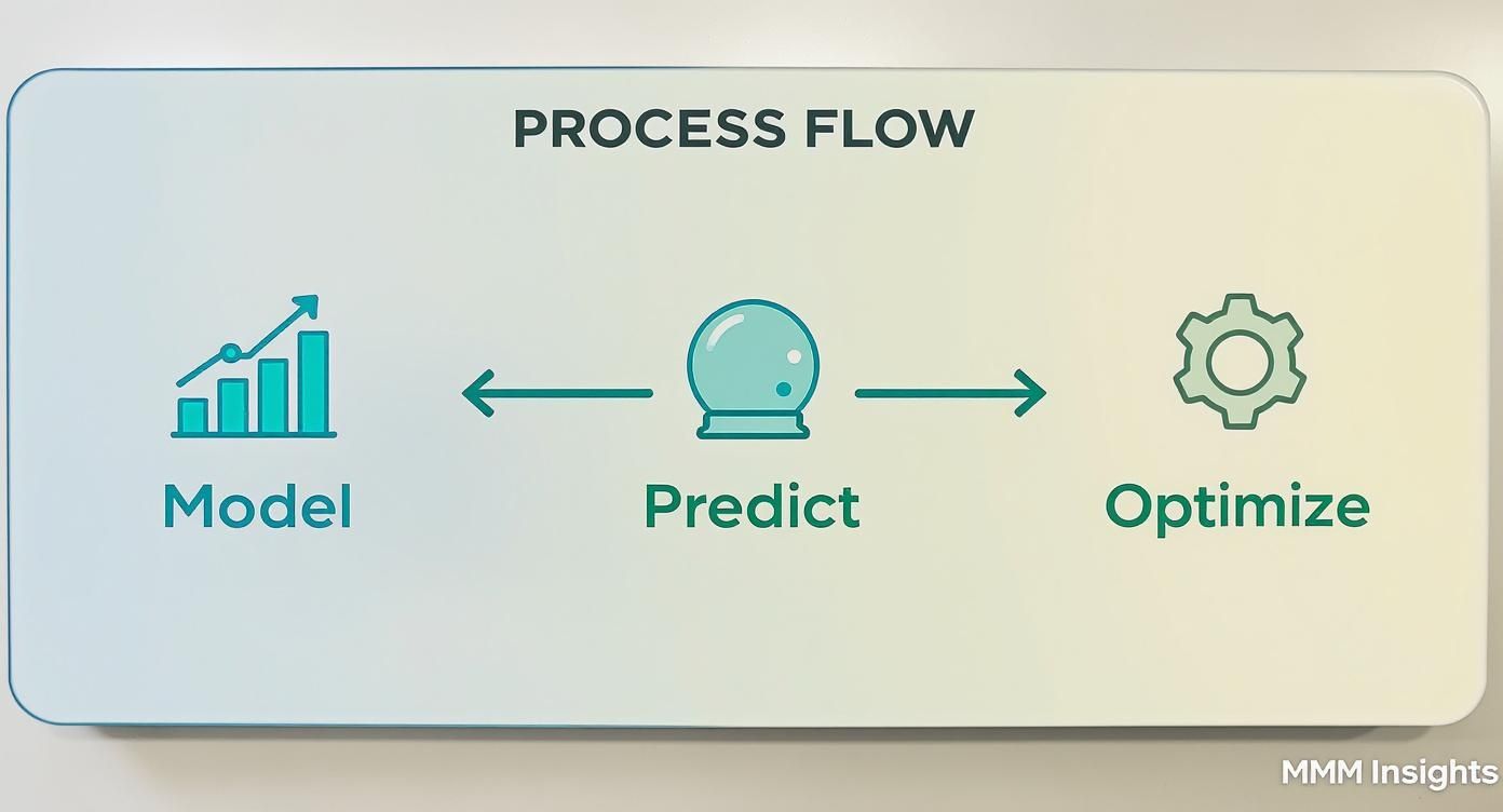 Infographic about what is marketing mix modeling