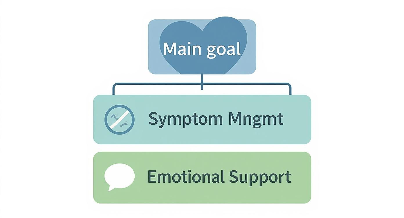 Palliative care goals diagram showing main goal branches to symptom management and emotional support