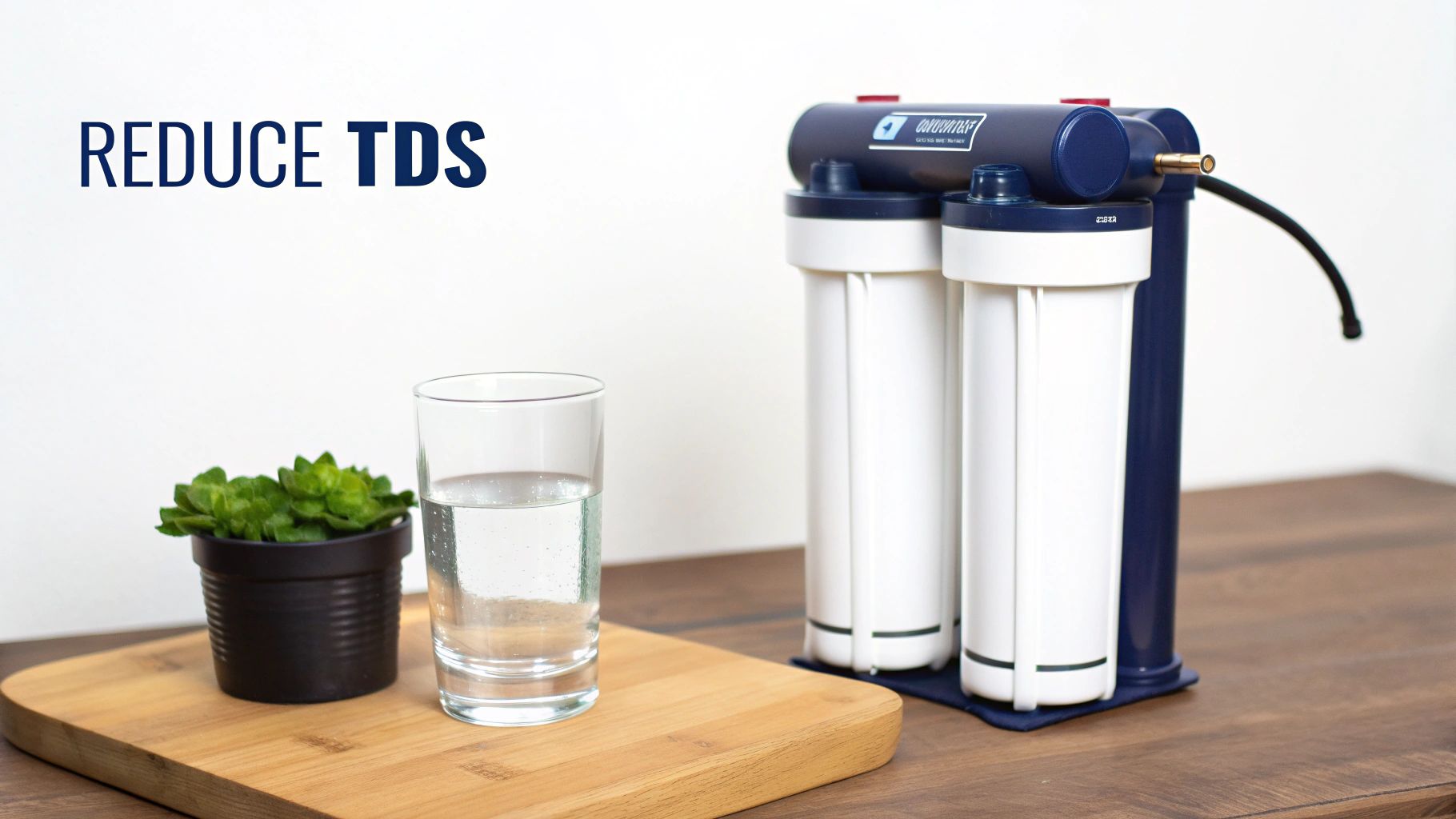 A blue and white water filter system with a glass of water and a plant, text reads 'REDUCE TDS'.