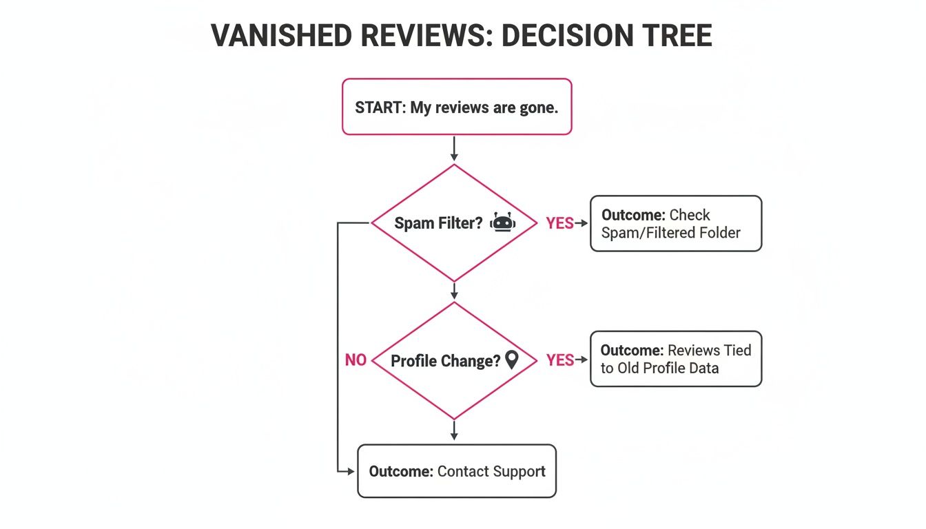 Decision tree for troubleshooting vanished online reviews, checking spam filters, profile changes, or contacting support.