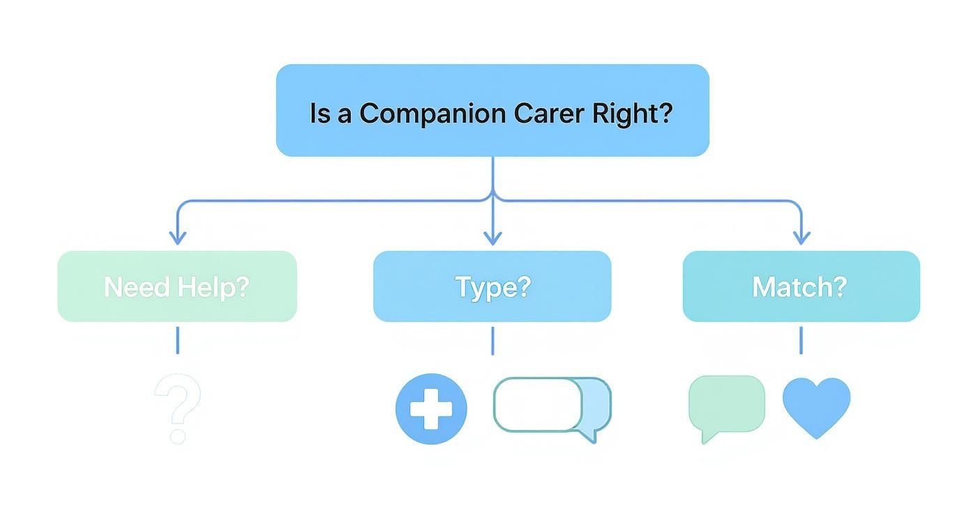 Infographic about companionship services for elderly