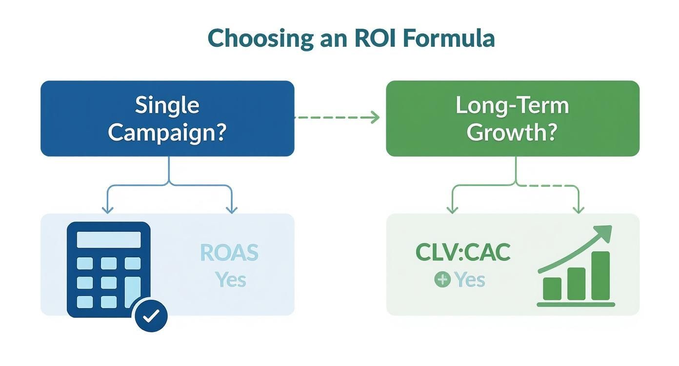 Infographic about how to measure marketing roi