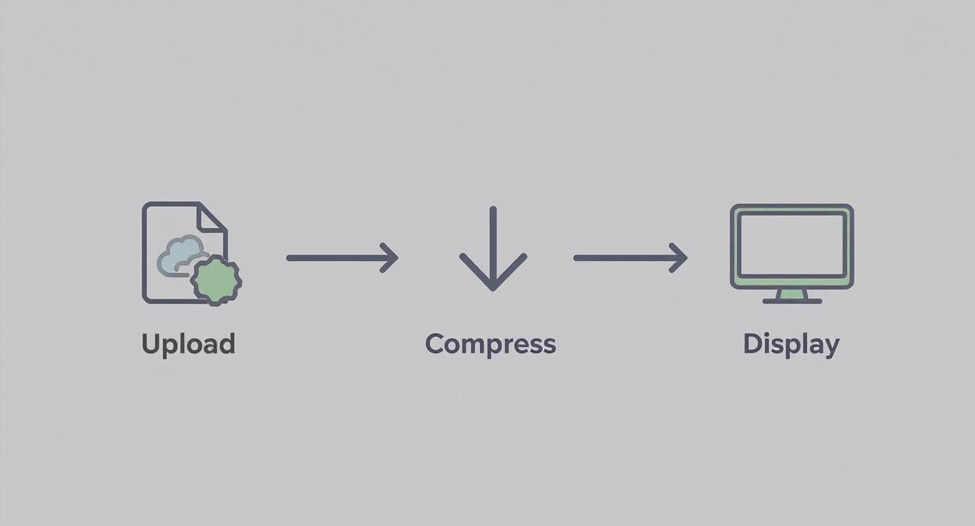 Infographic about how to improve website loading speed