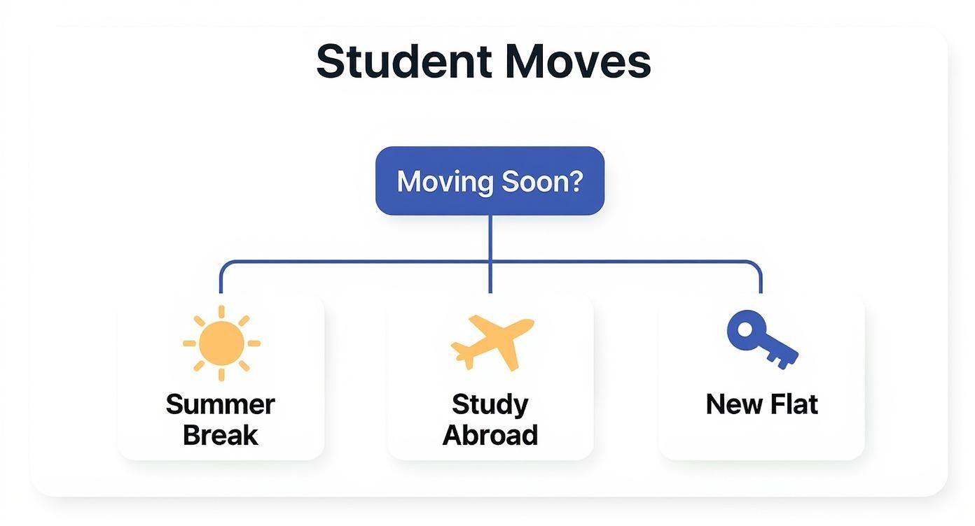 Infographic decision tree showing student storage choices for summer break, studying abroad, or moving to a new flat.