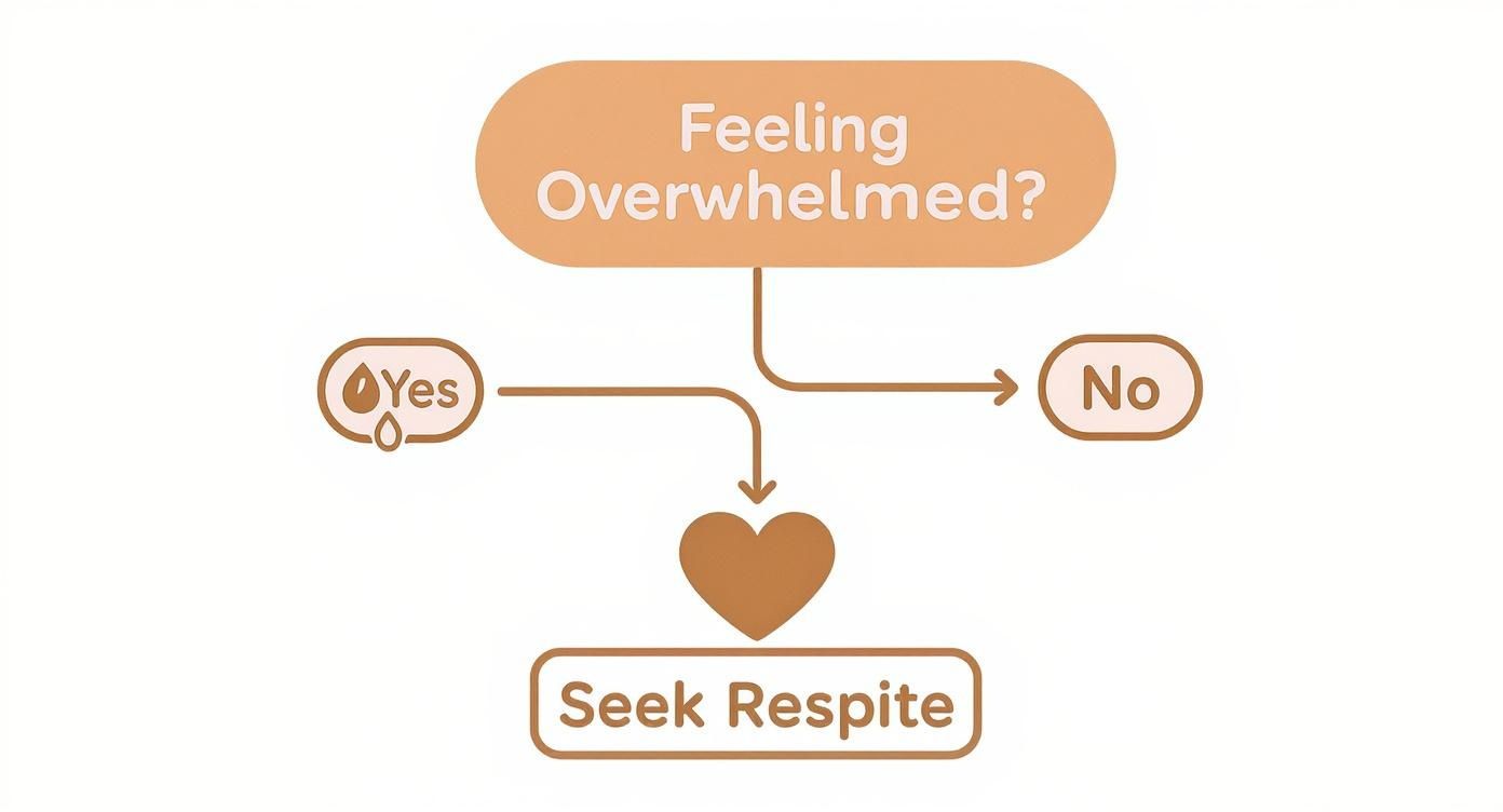 A flowchart asks "Feeling Overwhelmed?", guiding both "Yes" and "No" answers to "Seek Respite."