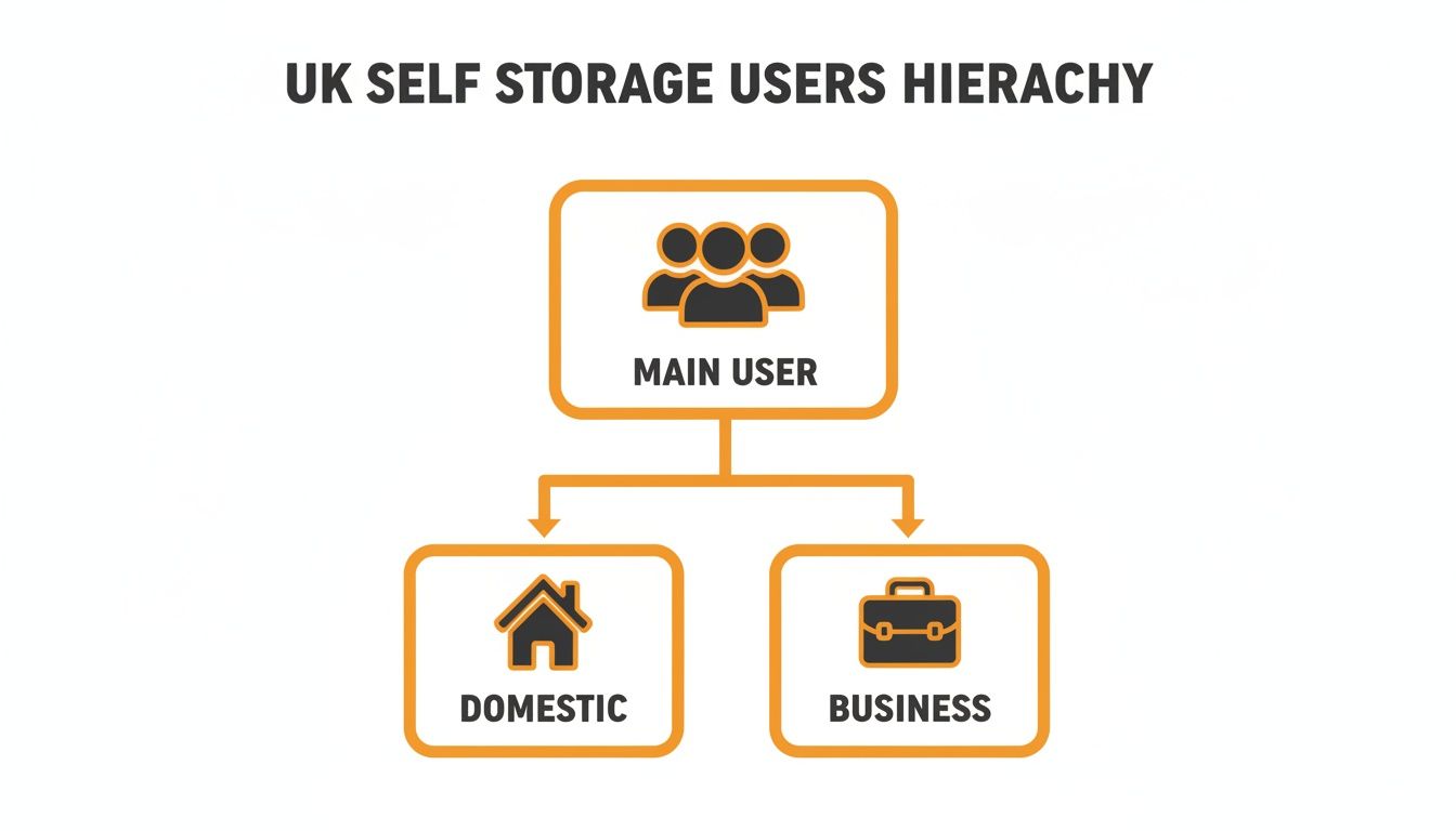 Hierarchy chart illustrating UK self storage main users categorized into domestic and business purposes.
