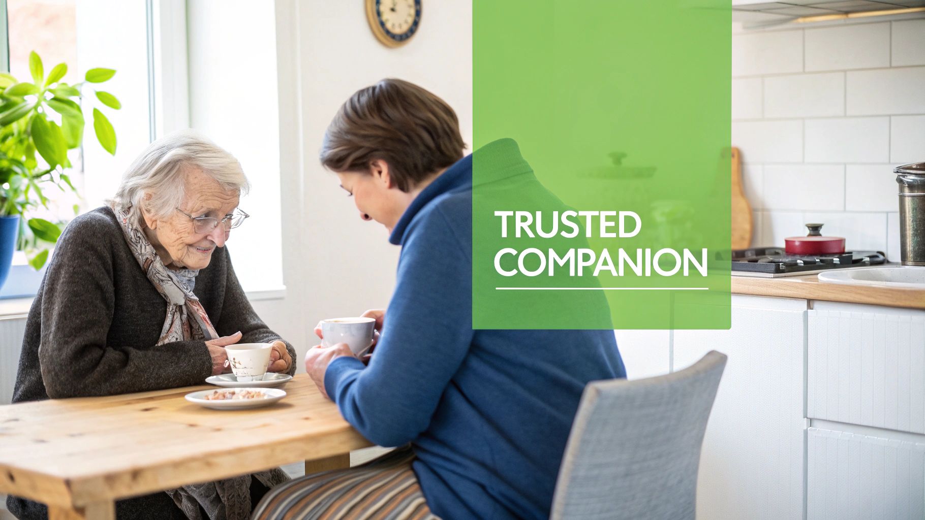 A friendly companion carer assisting an elderly woman in her home.
