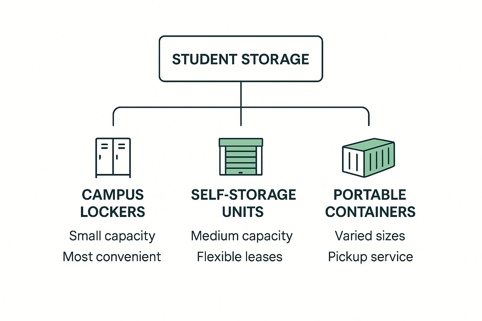 An infographic showing the hierarchy of student storage options, branching from 'Student Storage' to 'Campus Lockers', 'Self-Storage Units', and 'Portable Containers'.