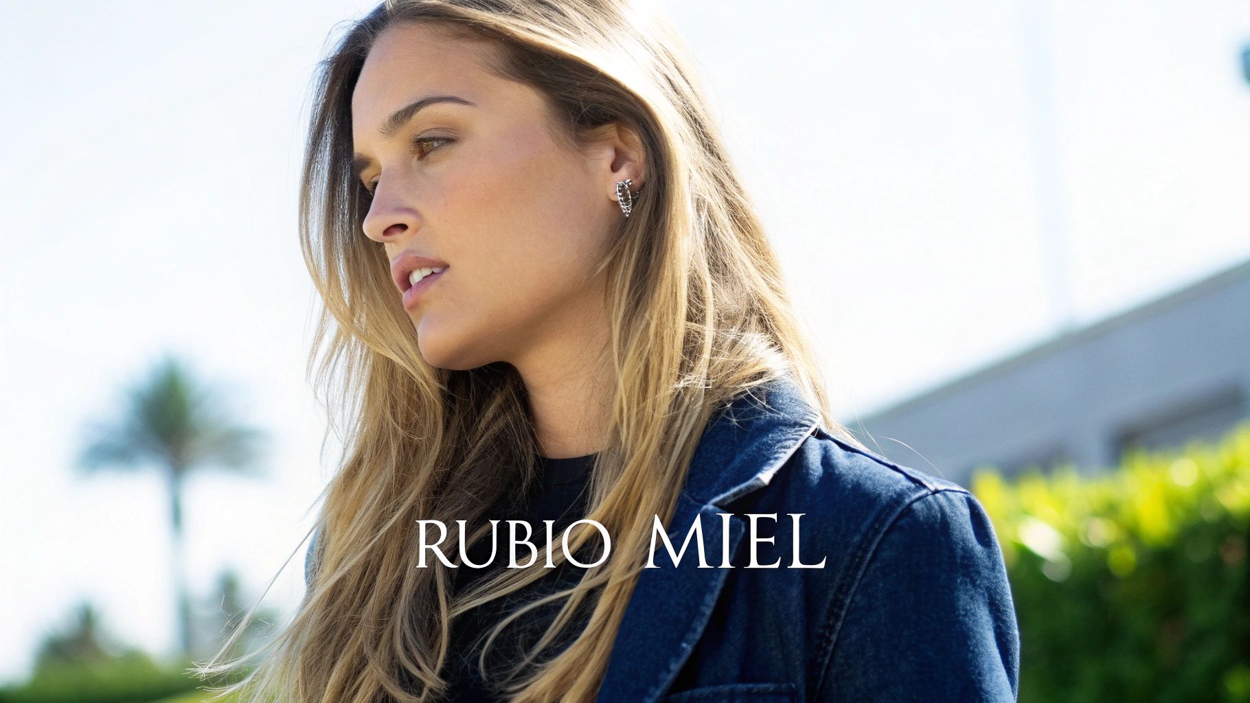 Rubio Miel (Honey Blonde)