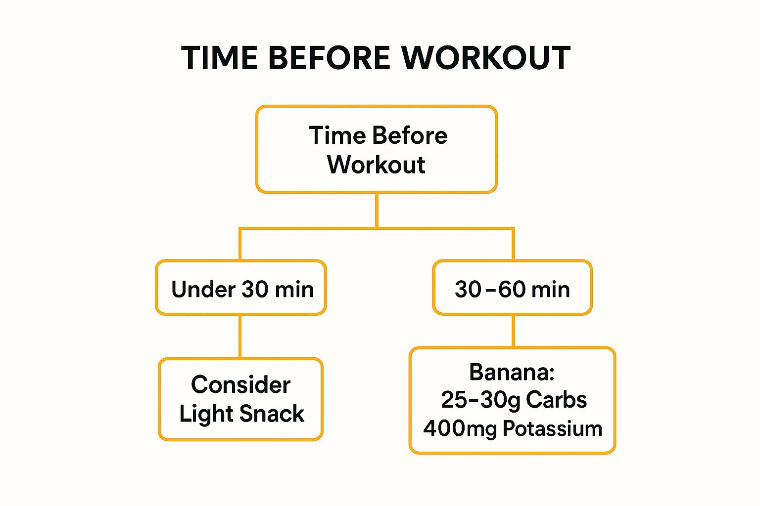 8 Best Breakfasts Before Exercise to Boost Your Performance
