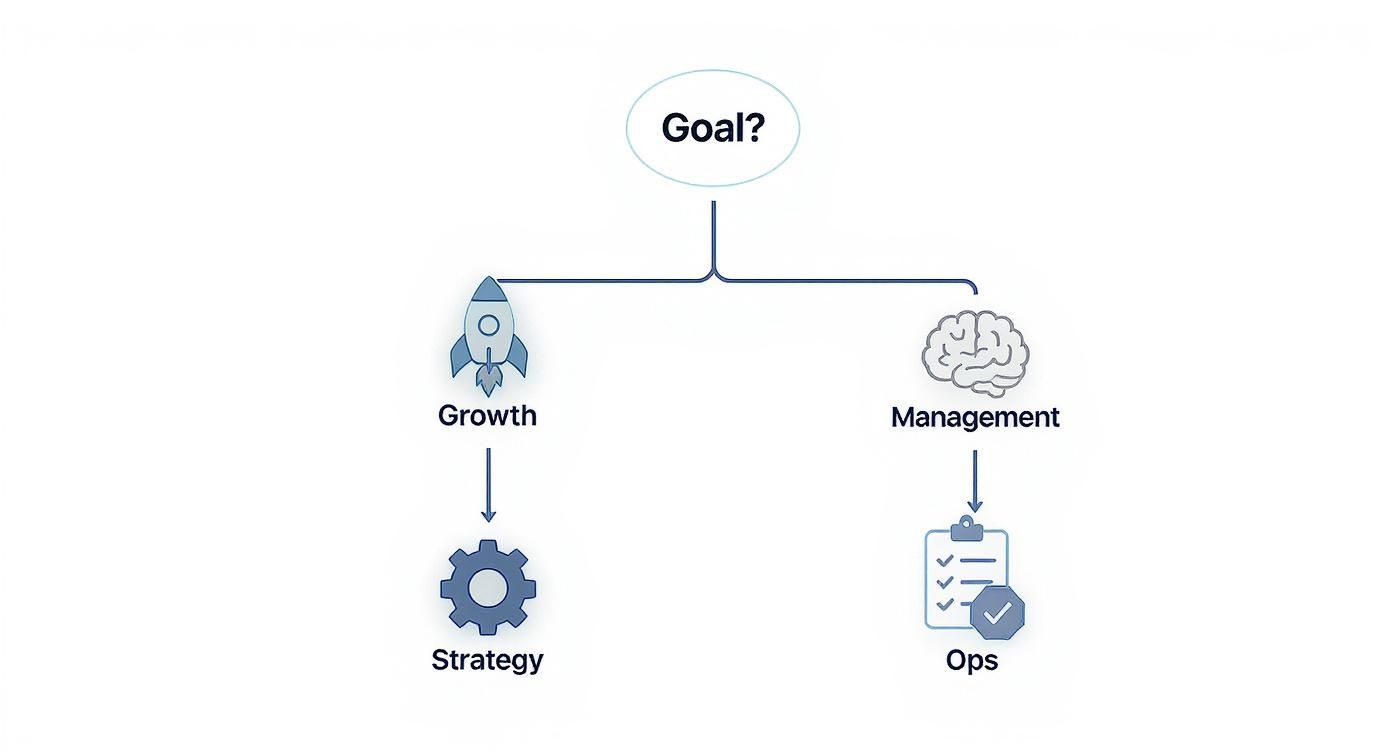 Infographic about best affiliate marketing agencies