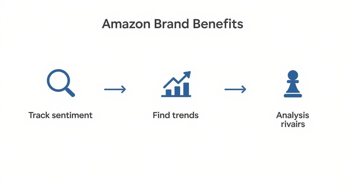 A diagram outlining Amazon brand benefits: track sentiment, find trends, and analyze rivals.