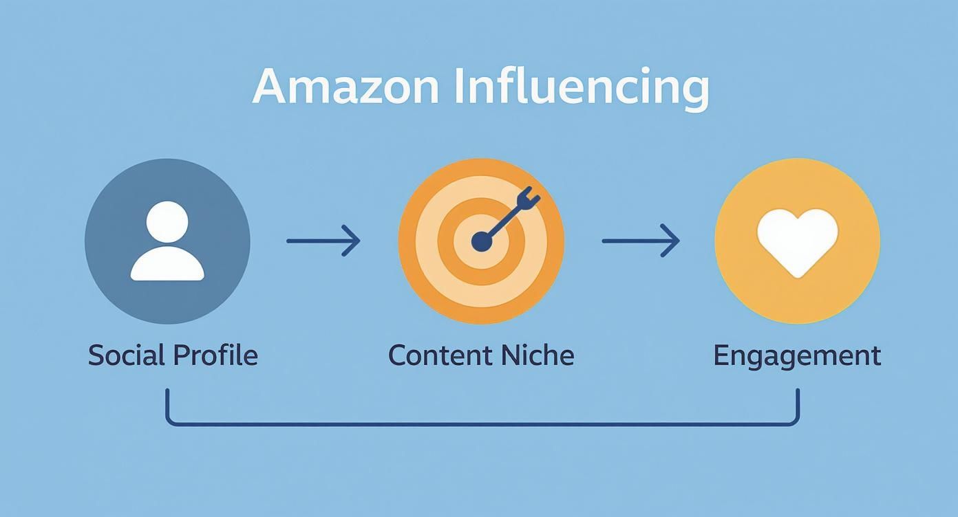 Infographic about become an amazon influencer
