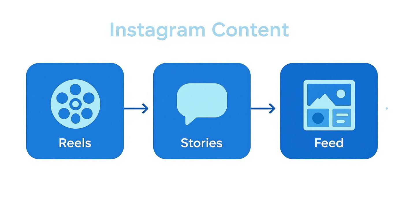 Infographic decision tree showing content choices on Instagram for Reels, Stories, and Feed posts.